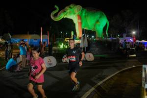 BIB: 
                            <button type="button" onclick="openModal(26552361)" class="btn btn-primary btn-sm float-right btn-popup" data-toggle="modal" data-target=".modal-high-quality">
                        <i class="fas fa-shopping-cart"></i> Add to Cart
                    </button>
                                            <button type="button" onclick="isThisMe(26552361, true)" class="btn btn-success btn-sm float-right btn-popup btn-isme hidden" data-toggle="tooltip" data-placement="bottom" title="นี่คือรูปของคุณใช่ไหม คลิกที่นี่เพื่อเอาเข้าอัลบั้ม">
                        <i class="fas fa-plus"></i> Add to album
                    </button>
                    <button type="button" onclick="isThisMe(26552361, false)" class="btn btn-warning btn-sm float-right btn-popup btn-isnotme hidden">
                        <i class="fas fa-ban"></i> Remove from album
                    </button>